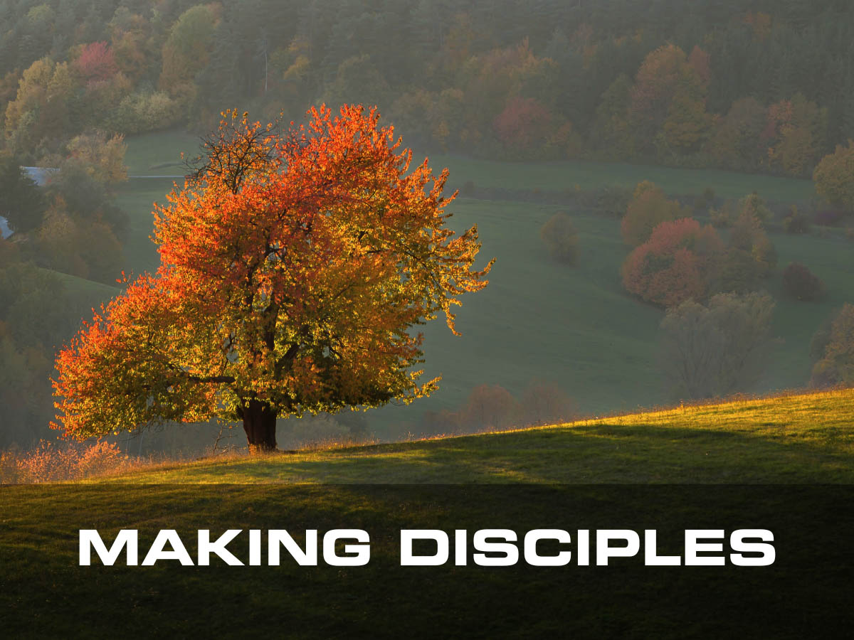 Blog Digest OC Blog Digest: Making Disciples | Outreach Canada Ministries